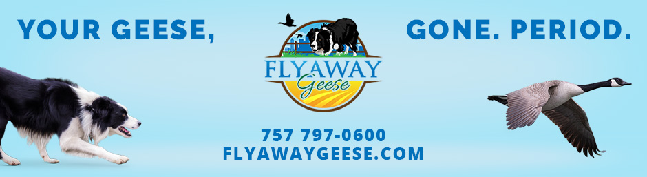 FlyAway Geese